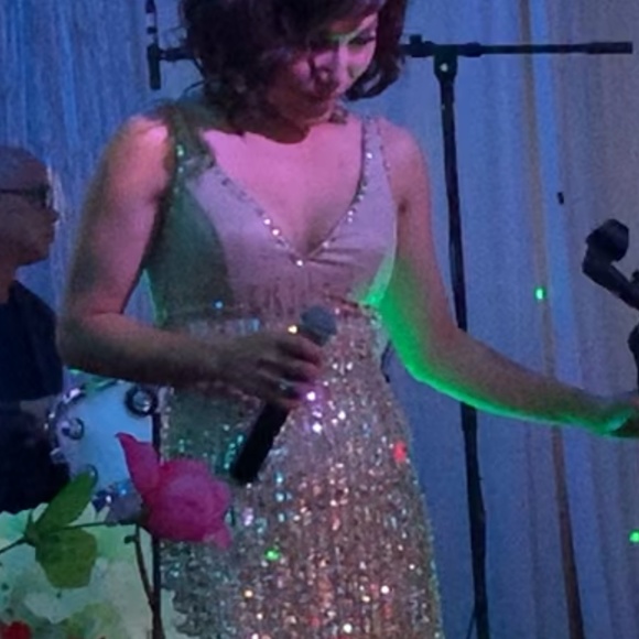 Atelier Alyce Satin Rouge Collection Gold Dress Sz 4 Women Evening Cocktail EUC - Picture 9 of 9